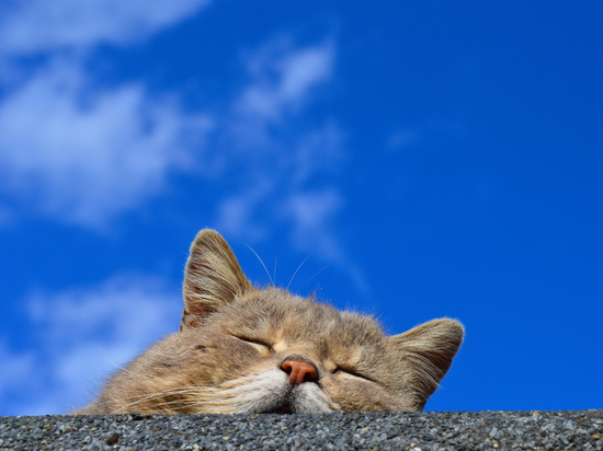 В Донецк вернется солнечная погода