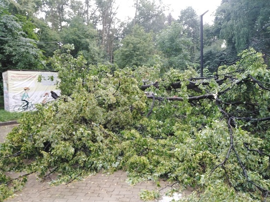 Павел Малков поручил оперативно устранить последствия урагана в Рязани