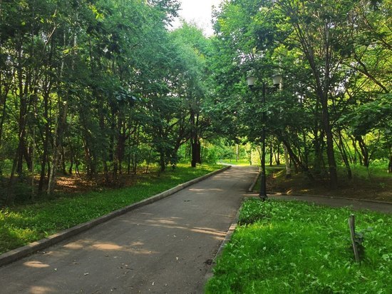 Расположиться сквер должен был на границе парка