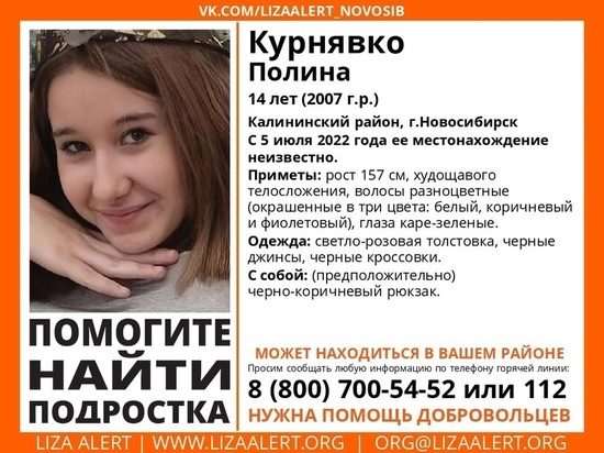Стали известны подробности пропажи девочки с разноцветными волосами в Новосибирске
