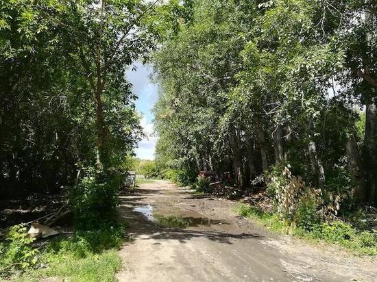 Принять участие в опросе по благоустройству парка на ОбьГЭС приглашают новосибирцев