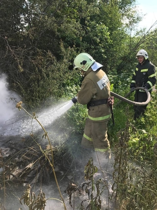 В Ивановской области лесной пожар тушили более 20 человек