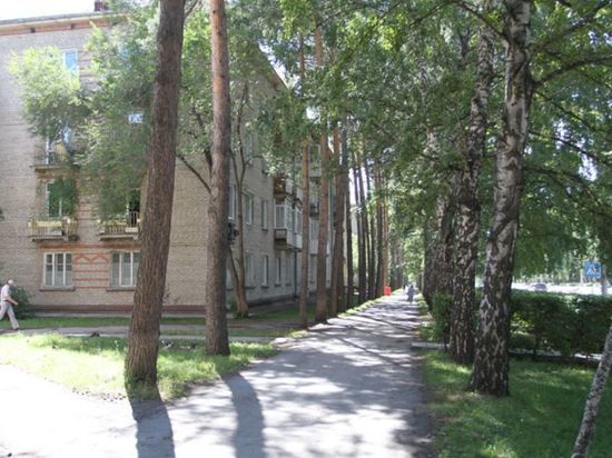 Причины большого количества эксгибиционистов в Академгородке объяснил новосибирский психотерапевт