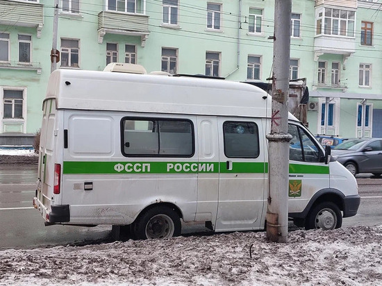 Житель Рыбного украл музыкальный центр и задолжал миллион рублей алиментов