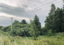 ГУ МЧС России по Рязанской области опубликовало прогноз погоды на среду, 13 июля