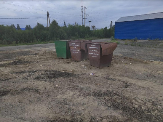 Виновных накажут: подрядчик опустошил переполненные мусорки в Лабытнанги