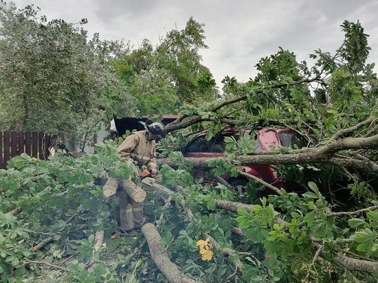 Во время урагана в Орловской области пострадала пожилая женщина