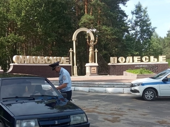Из-за смерти владельцев орловская ГИБДД аннулировала регистрацию 150 автомобилей