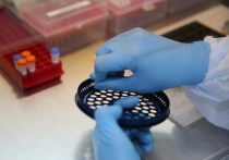 В Забайкалье за сутки выявлено 14 новых случаев заражения коронавирусом