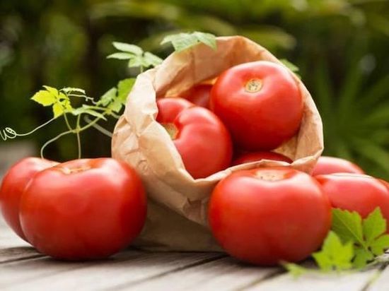 Как в июле подкормить томаты для более эффективного образования завязей
