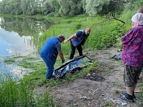 В деревне Николаевке Курской области утонул 66-летний мужчина