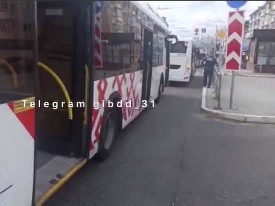 На остановке в Белгороде столкнулись два пассажирских автобуса