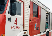 В деревне Выкуши Касимовском районе пожар уничтожил два дома
