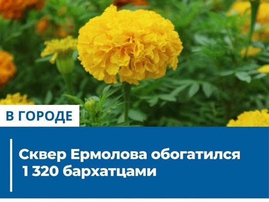 Орловский сквер Ермолова засадили бархатцами