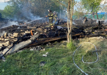 Почти в 2 раза снизилось число случаев смерти людей от пожаров за последние несколько лет в Московской области