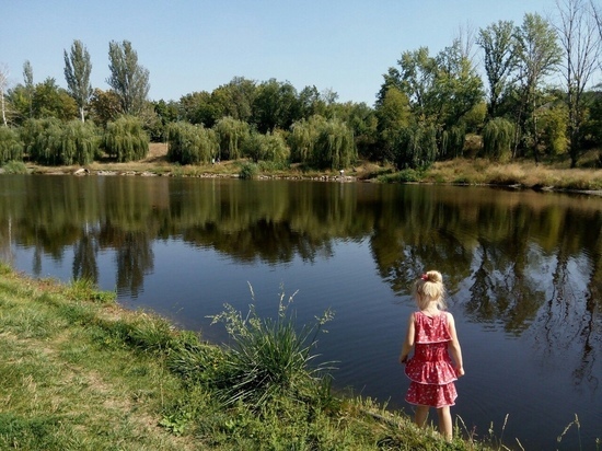 В зону контроля ДНР вернулись 244 населенных пункта