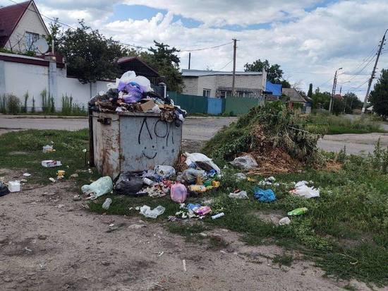 Подконтрольный Украине Славянск зарастает мусором: ФОТО