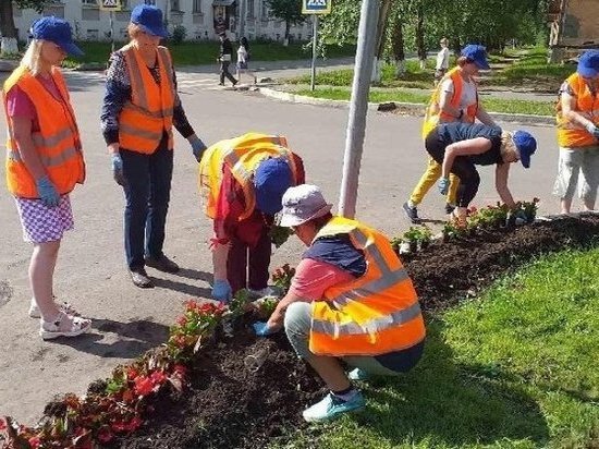 Мбу флора дизайн