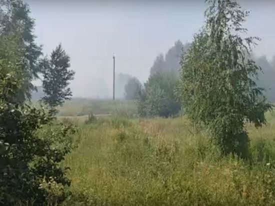 Орловские чиновники не чувствуют запаха с полигона «Экостройсервис»