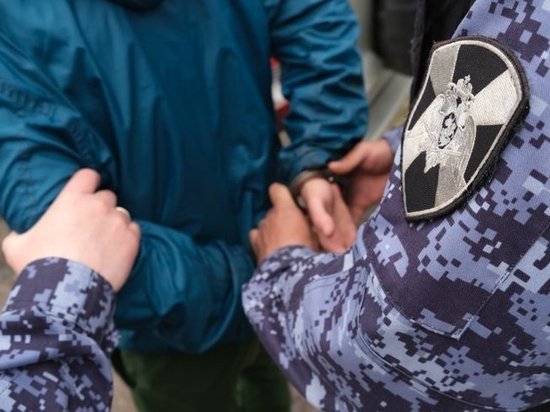 В Курске росгвардейцы на улице Школьной задержали пытавшегося ограбить женщину курянина