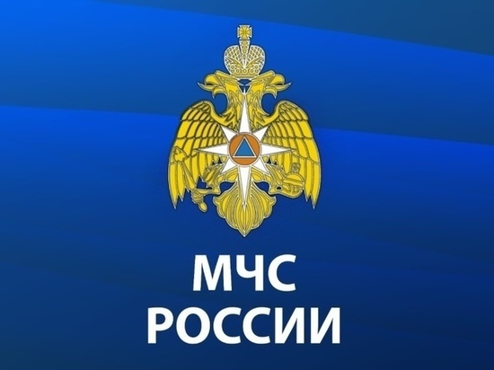На турбазе в Пензенской области нашли тело утонувшего проректора ПГУ