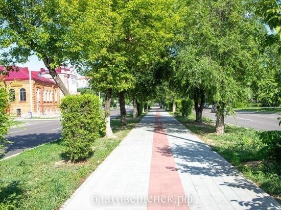 Хабаровск поделится с Благовещенском деревьями и кустарниками