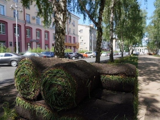 Кемеровчанам показали, как укладывают газон в центре города