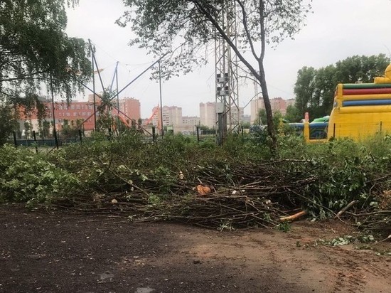 Работы по содержанию проводят в парках Вологды