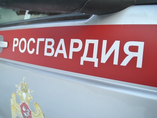 В Кирове росгвардейцы задержали в магазине вора с чужим загранпаспортом