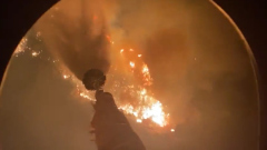 Лесной пожар бушует в турецкой Мугле: видео