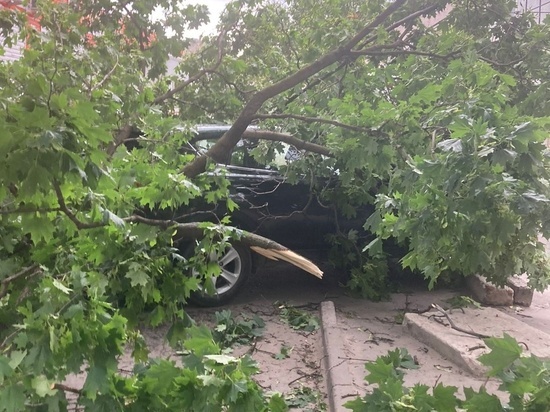 На улице Горького в Рязани во время урагана на машину упало дерево