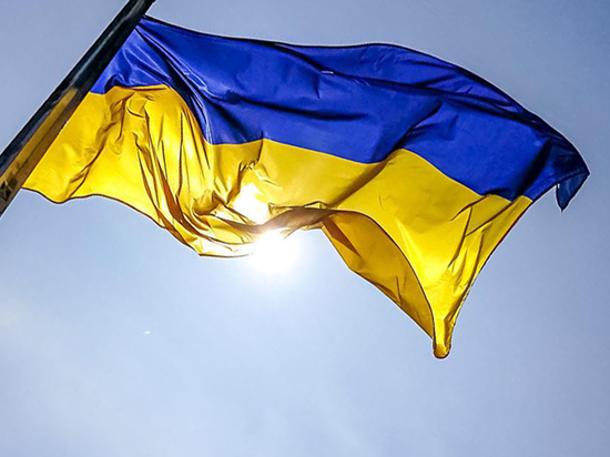 Baza: шесть полковников и подполковников МВД снимали флаг Украины с ЛЭП в Подмосковье