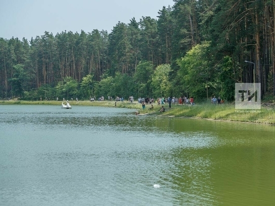 В Татарстане к следующему лету откроют 20 глэмпингов