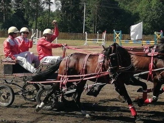 Двадцать наездников со всей России приедут в Вельский район на конные соревнования