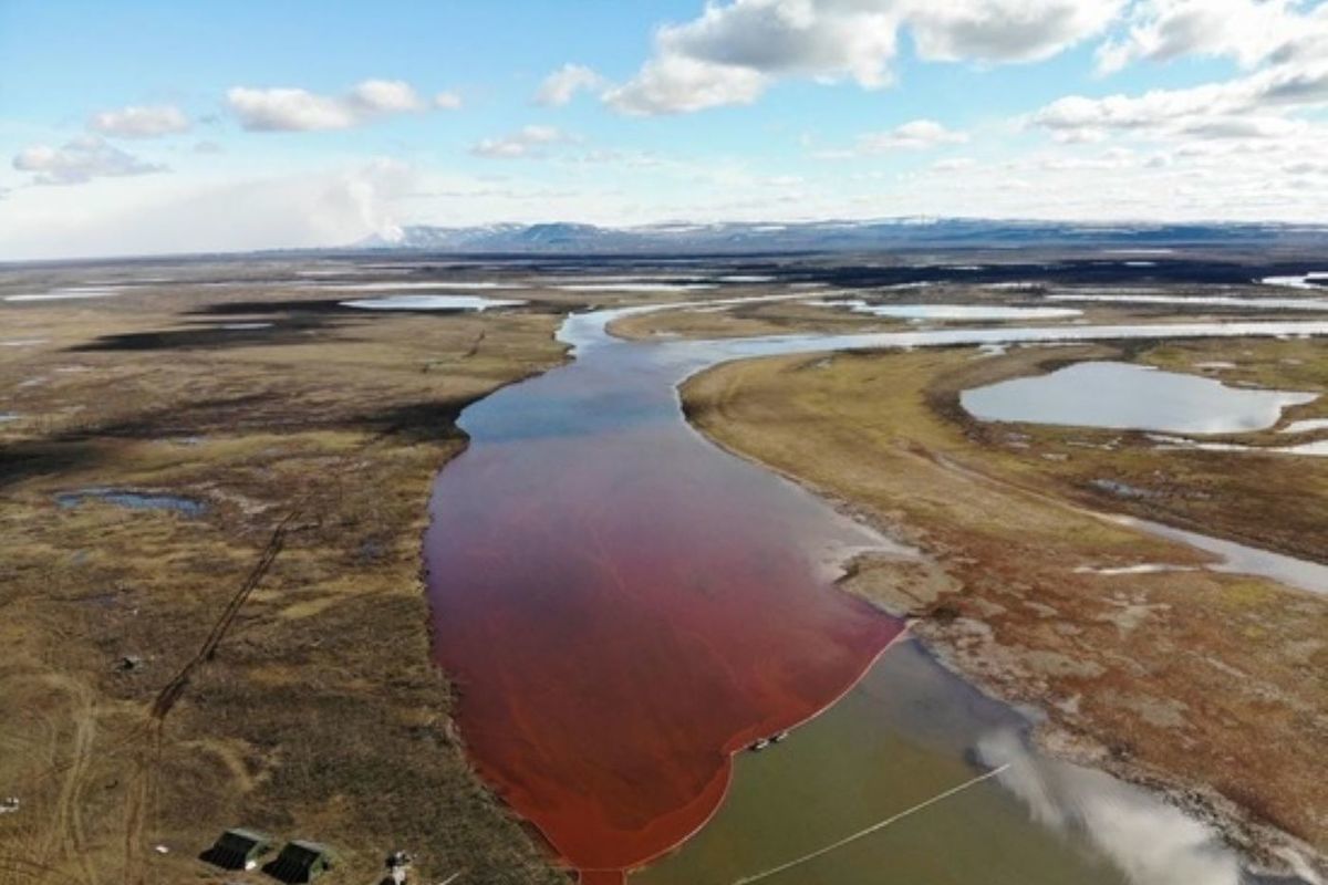 Озеро Пясино экологическая катастрофа