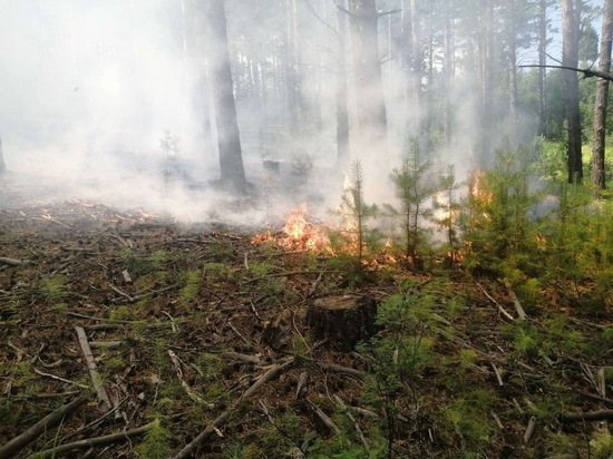 В лесах Бурятии тушили пожары более 200 человек