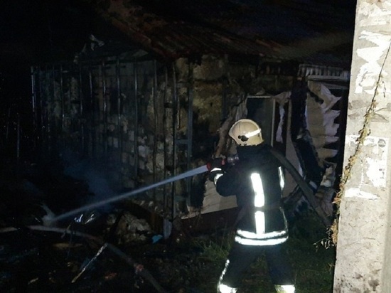 В Барнауле 47 спасателей тушили ночные пожары