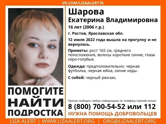 В Ярославской области третий день ищут 16-ти летнюю девушку