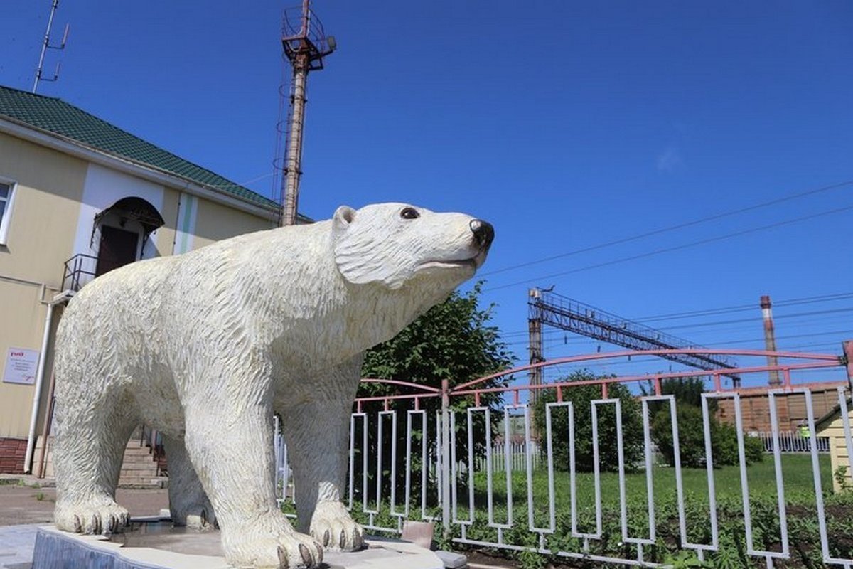 клуб белый медведь красноярск
