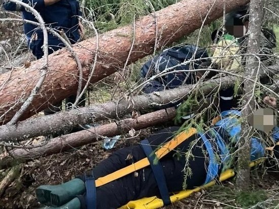 Знакомство Ленинградская Область Женщины