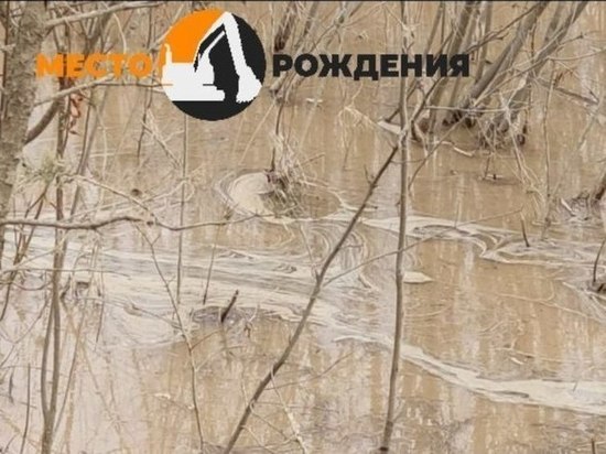 Три компании-золотодобытчика допустили загрязнение реки в Забайкалье в 2021 году