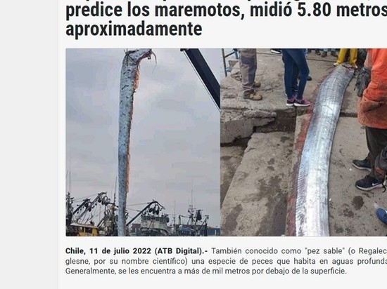 В Чили выловили пятиметрового сельдяного короля — предвестника катастроф