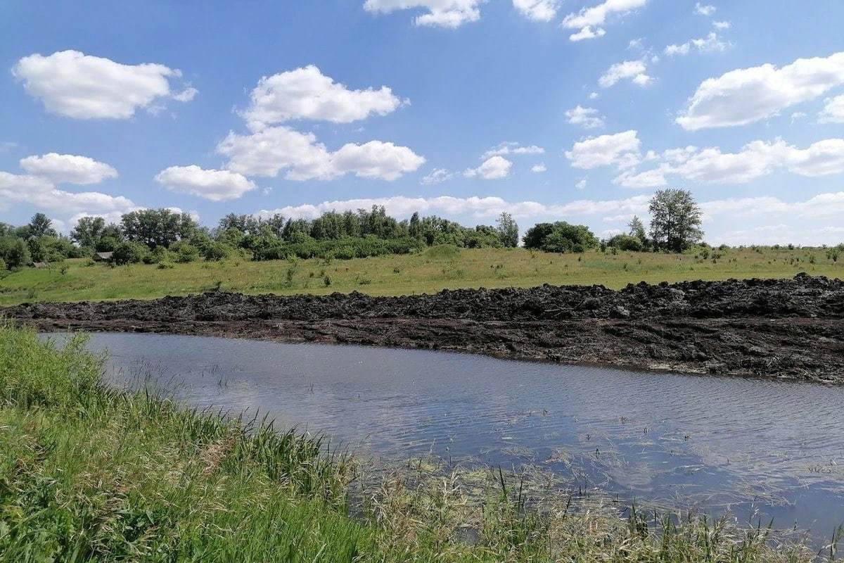 Поселок реки. Одоев река. Тульская ягода Одоев. Река воронка Тула пляж фото. Маленькая змея на реке УПА Тула.