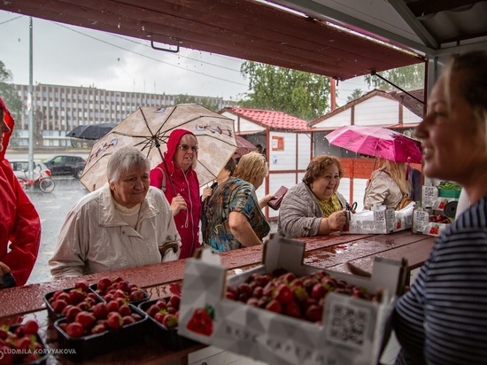 Жители Карелии мокли под проливным дождем, чтобы приобрести сладкую клубнику