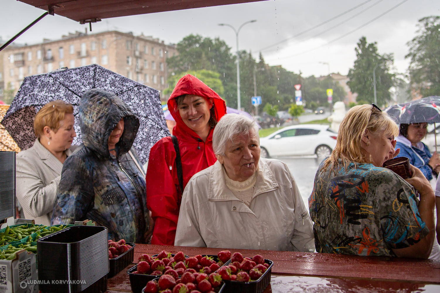 Клубничный бум в центре Петрозаводска: жители покупают свежую ягоду