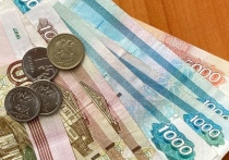 С начала года телефонные мошенники украли у рязанцев более 87 миллионов рублей