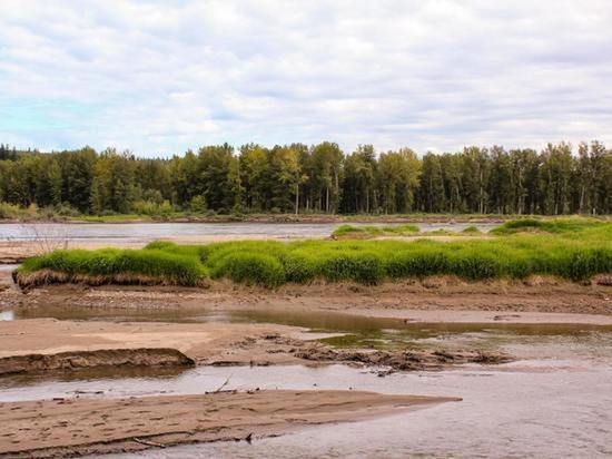 Эксперт рассказал о вреде экологии в результате обмеления Енисея в Красноярском крае