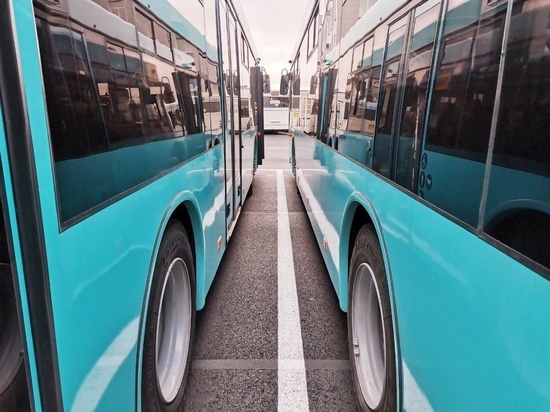 Все автобусы Петербурга заменят на лазурные до 15 ноября