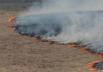 В Луганской Народной Республике заявили, что украинские военные при отступлении поджигают поля пшеницы и зернохранилища