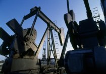 Россия готовится создать эталонный сорт нефти для нивелирования попыток стран Запада по ограничению доходов от продажи топлива